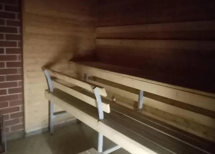 Lokkankoti A * Lokka